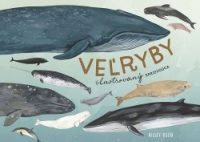 Oseid, Kelsey: Veľryby : ilustrovaný sprievodca