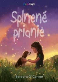 O’Connor, Barbara: Splnené prianie