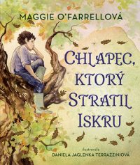 O´Farrell, Maggie: Chlapec, ktorý stratil iskru