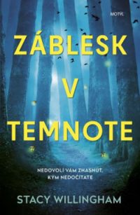 Willingham, S.: Záblesk v temnote