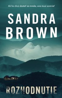 Brown, Sandra: Rozhodnutie