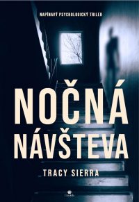 Sierra, Tracy: Nočná návšteva