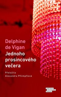 Vigan, Delphine de: Jednoho prosincového večera