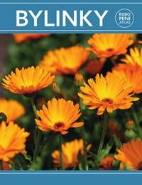Dijk, Hanneke van: Bylinky : Rebo mini atlas